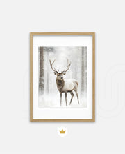 Majestic Winter Stag