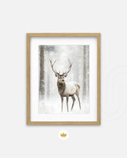 Majestic Winter Stag