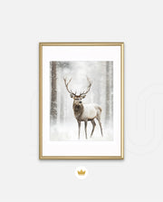 Majestic Winter Stag