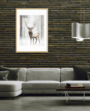 Majestic Winter Stag