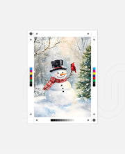 Snowman and Cardinal