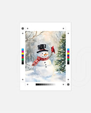 Snowman and Cardinal