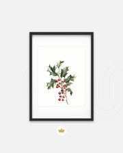 Holly Berry Botanical