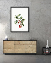 Holly Berry Botanical