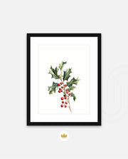 Holly Berry Botanical