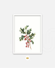 Holly Berry Botanical