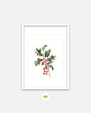 Holly Berry Botanical