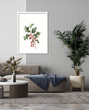 Holly Berry Botanical