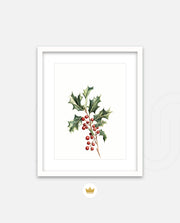 Holly Berry Botanical