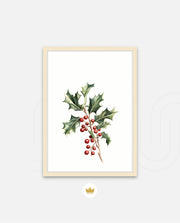 Holly Berry Botanical