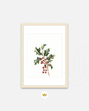 Holly Berry Botanical