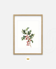 Holly Berry Botanical