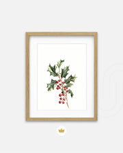 Holly Berry Botanical
