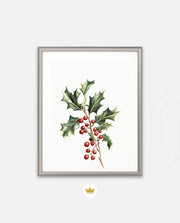 Holly Berry Botanical