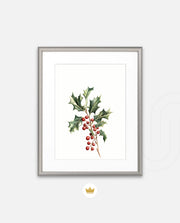 Holly Berry Botanical