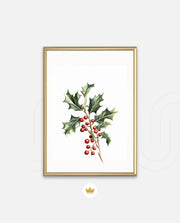 Holly Berry Botanical