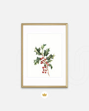 Holly Berry Botanical