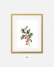 Holly Berry Botanical