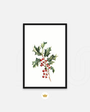 Holly Berry Botanical