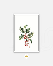Holly Berry Botanical