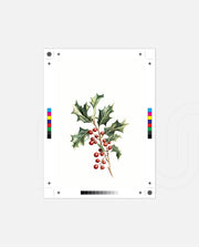 Holly Berry Botanical