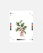 Holly Berry Botanical