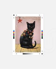 Festive Black Cat