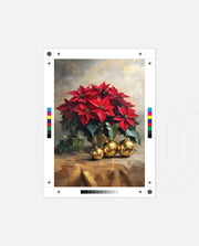 Poinsettia Golden Elegance