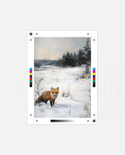 Winter Fox Meadow