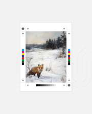 Winter Fox Meadow