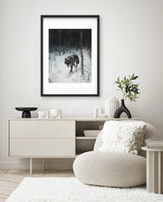 Lone Wolf in Winter