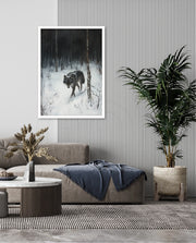 Lone Wolf in Winter