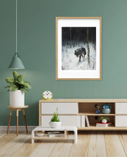 Lone Wolf in Winter