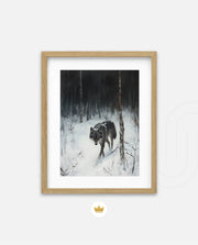 Lone Wolf in Winter