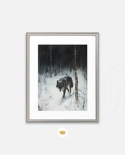 Lone Wolf in Winter