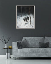 Lone Wolf in Winter