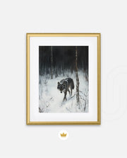 Lone Wolf in Winter