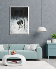 Lone Wolf in Winter