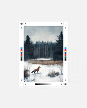 Winter Fox Wanderer