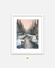 Winter Deer Reflections