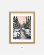 Winter Deer Reflections