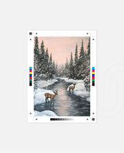 Winter Deer Reflections