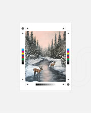 Winter Deer Reflections