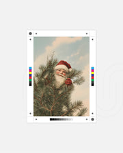 Santa Behind the Pines