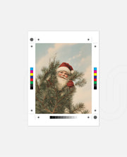Santa Behind the Pines