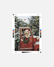 Christmas Puppy Roadtrip