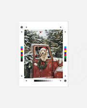 Christmas Puppy Roadtrip