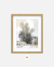 Misty Winter Solitude