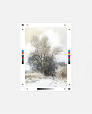 Misty Winter Solitude
