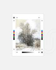 Misty Winter Solitude